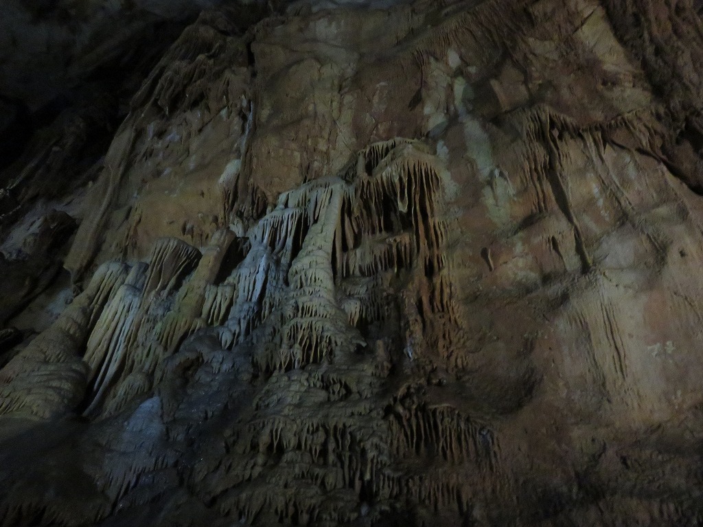 クラゲの滝のぼり