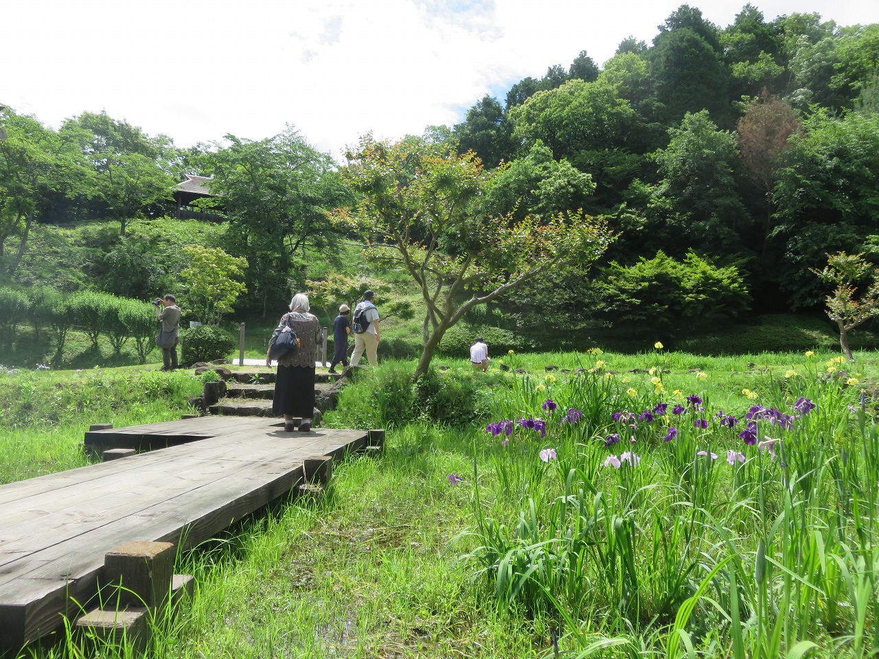 四季の里　あやめ園