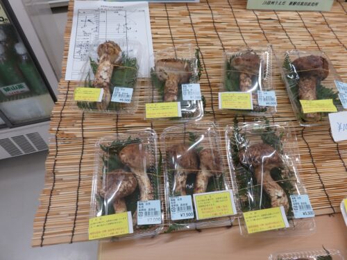 JA新鮮市真田直売所の松茸