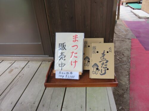 まつたけ販売中