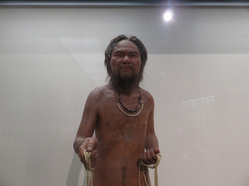 港川人の復元模型