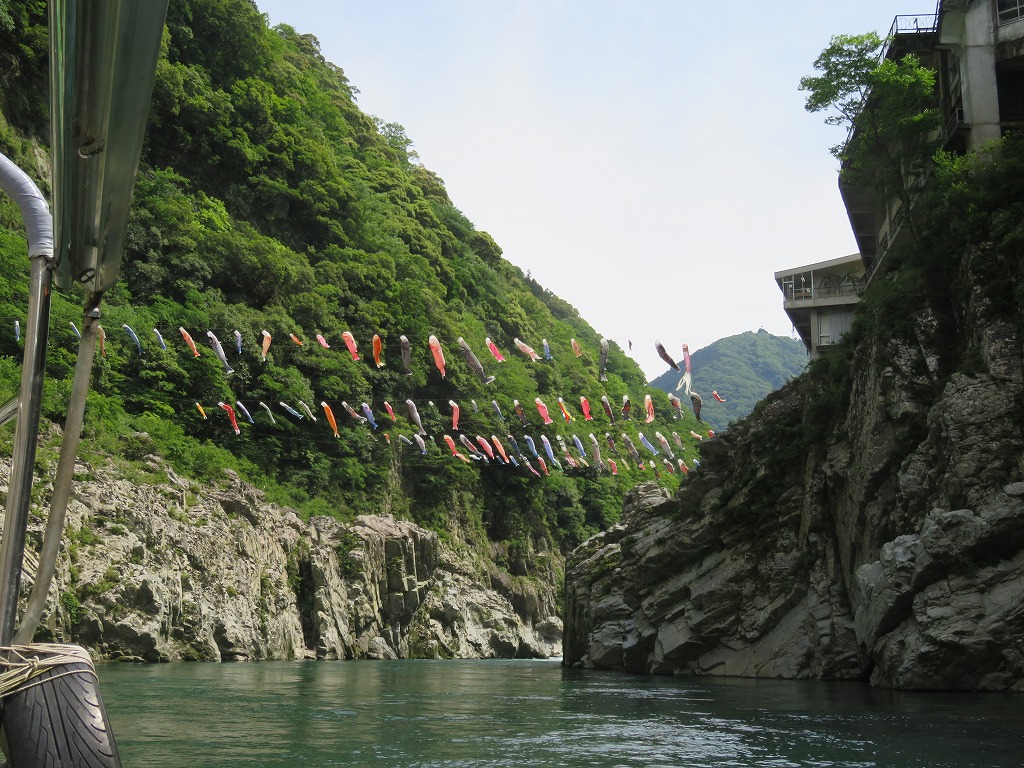 大歩危峡観光遊覧船からのこいのぼり