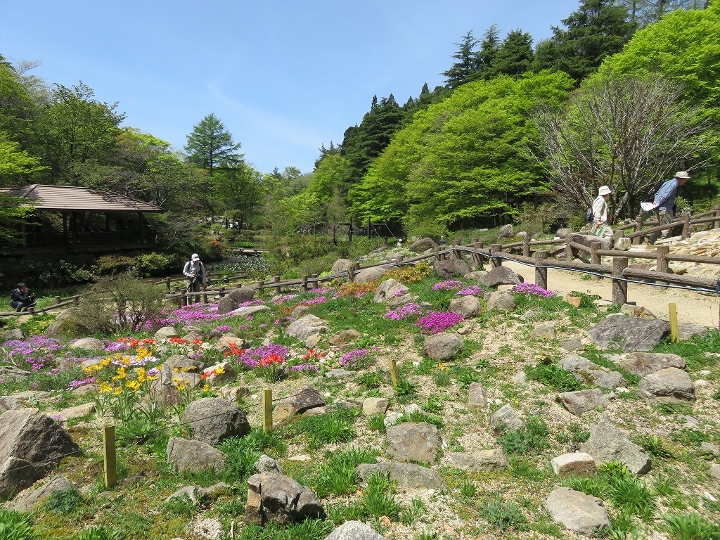 六甲高山植物園