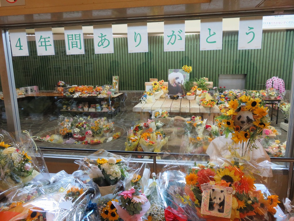 神戸市立王子動物園のパンダ舎