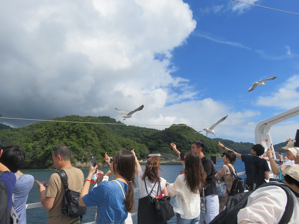 かもめの餌やり