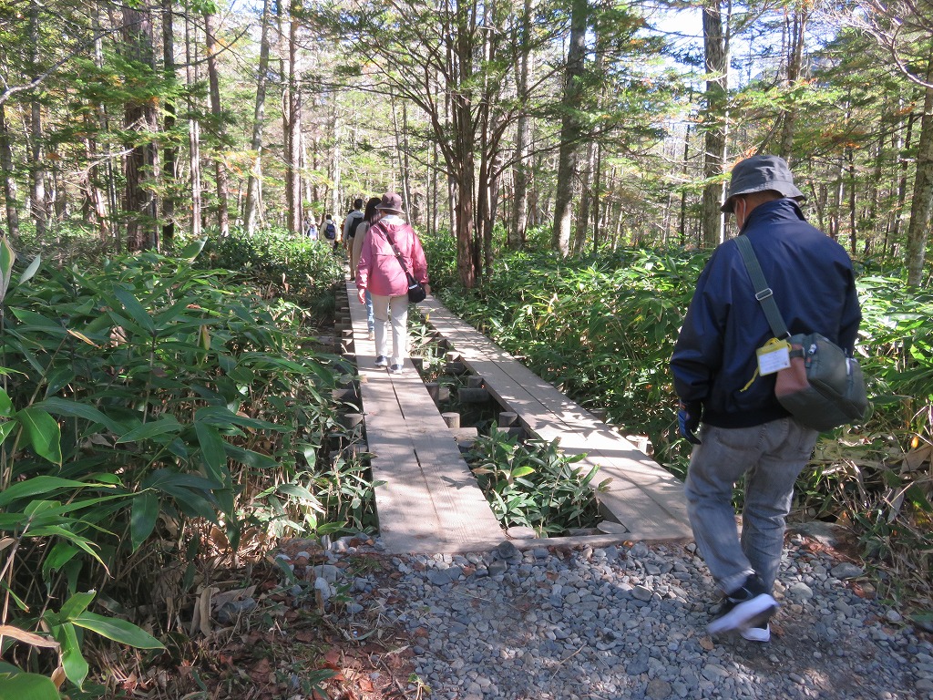 田代湿原の木道