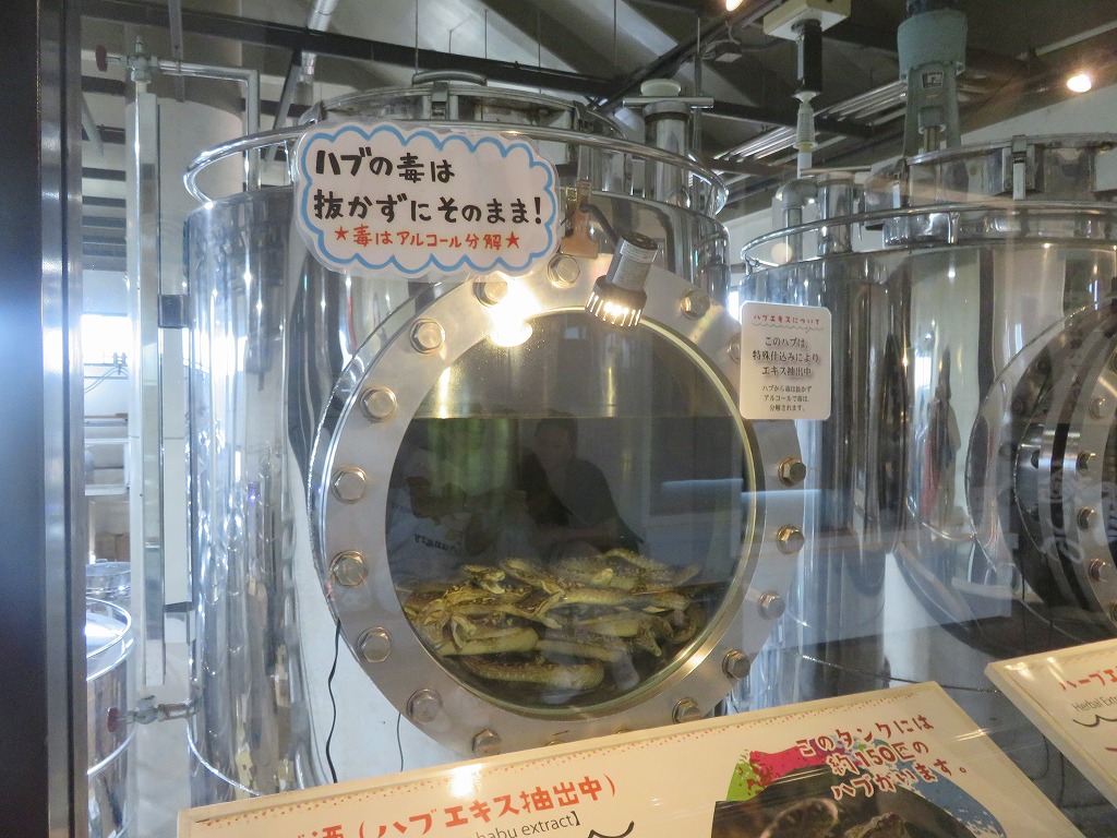 ハブ酒製造