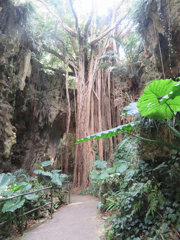 ガンガラーの谷