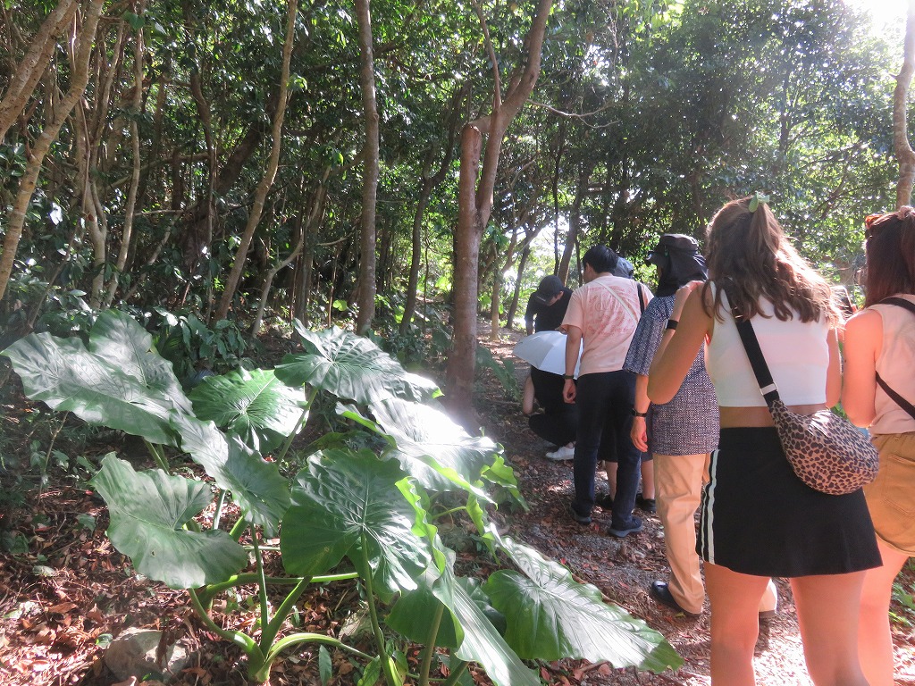 アスムイハイクス