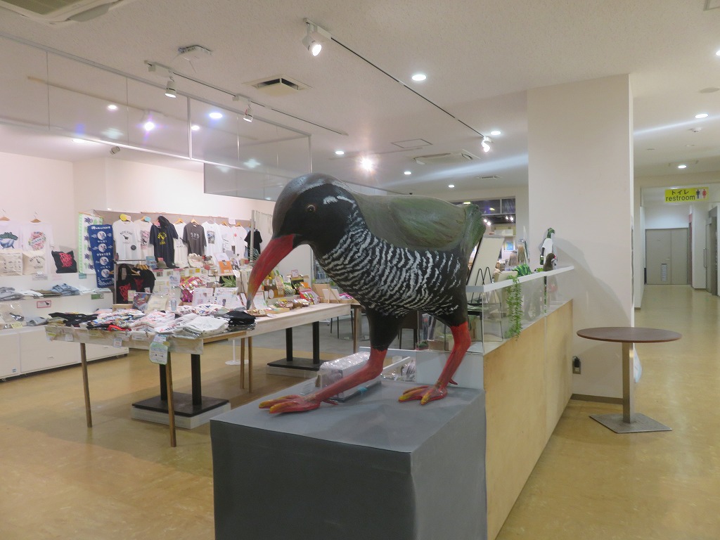 ヤンバルクイナ